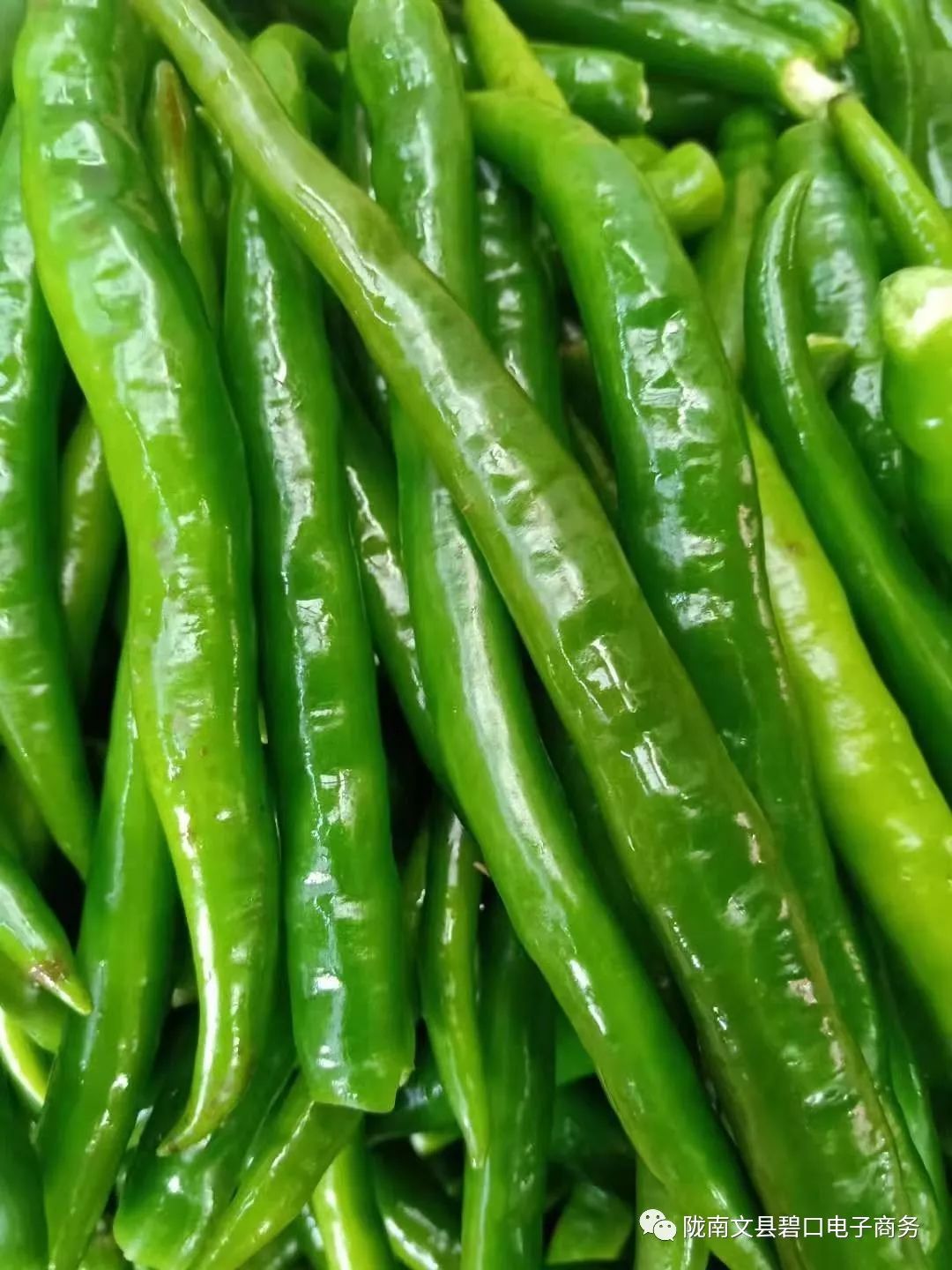 头条相约在碧口大约在冬季碧口袁记特色小菜