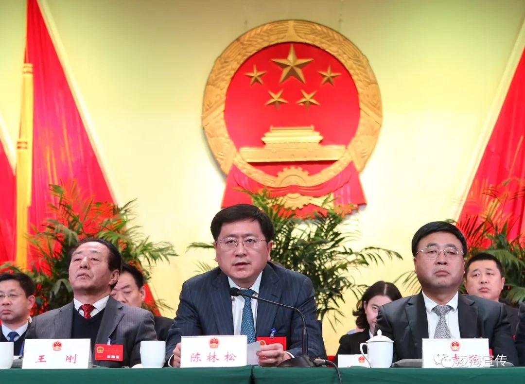 市委书记陈林松在会上讲话.