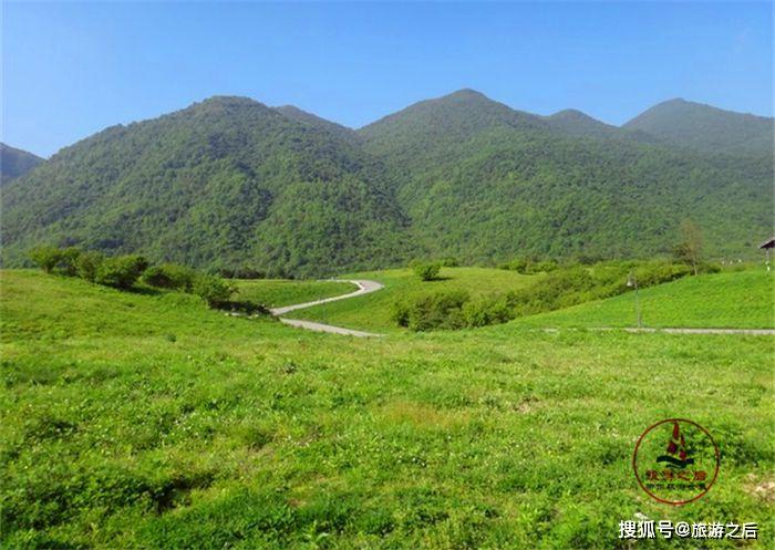 全球高海拔最大最美的鲜花海洋,重庆红池坝,夏天避暑的好地方