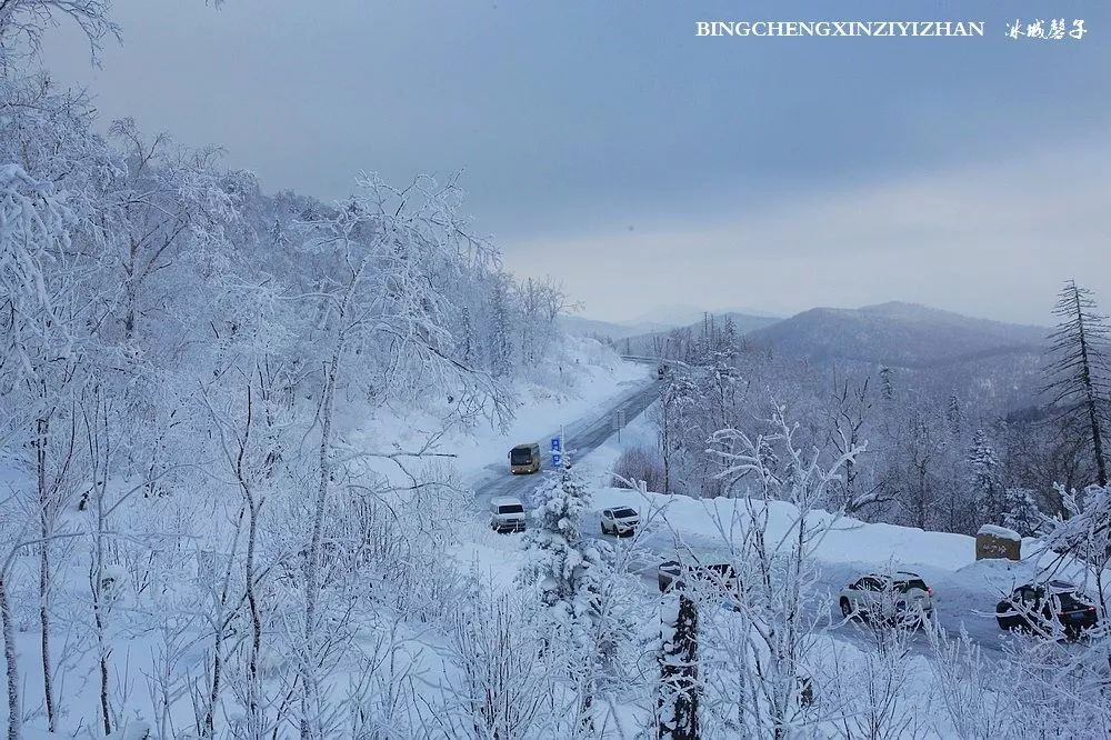 这一刻雪沉静得让人忘记了世间的纷繁