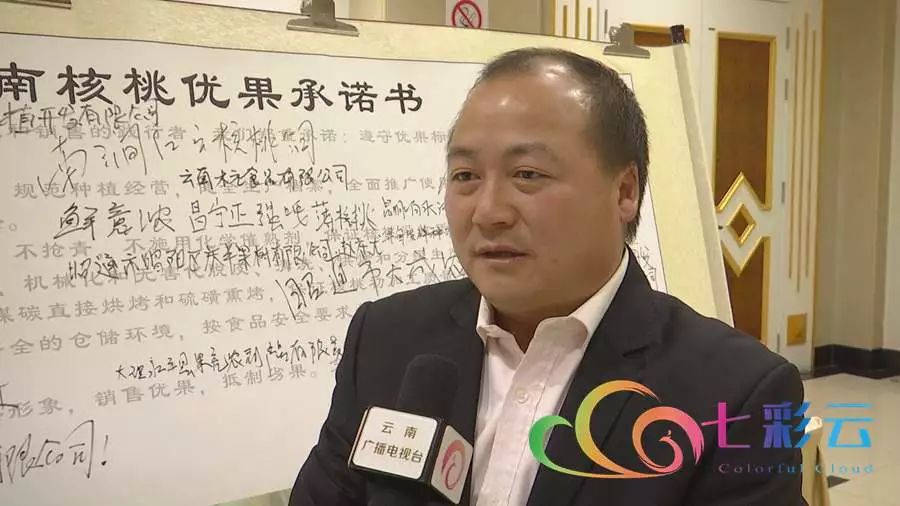 云南核桃加工与流通行业协会秘书长 蒋兵先:我们要带领着企业,首先把