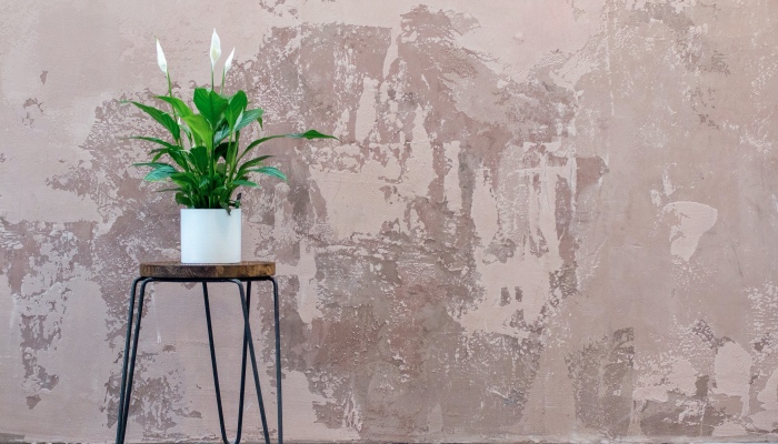 团队没执行力，家电厂商的一切创新都是“耍流氓”?-家电圈官网