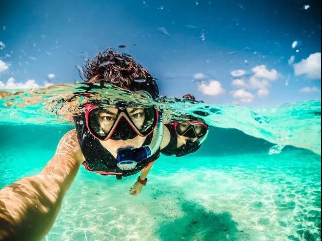 scubatrek潜水科普丨鲨鱼居然不吃人潜水新手误区你中了几条