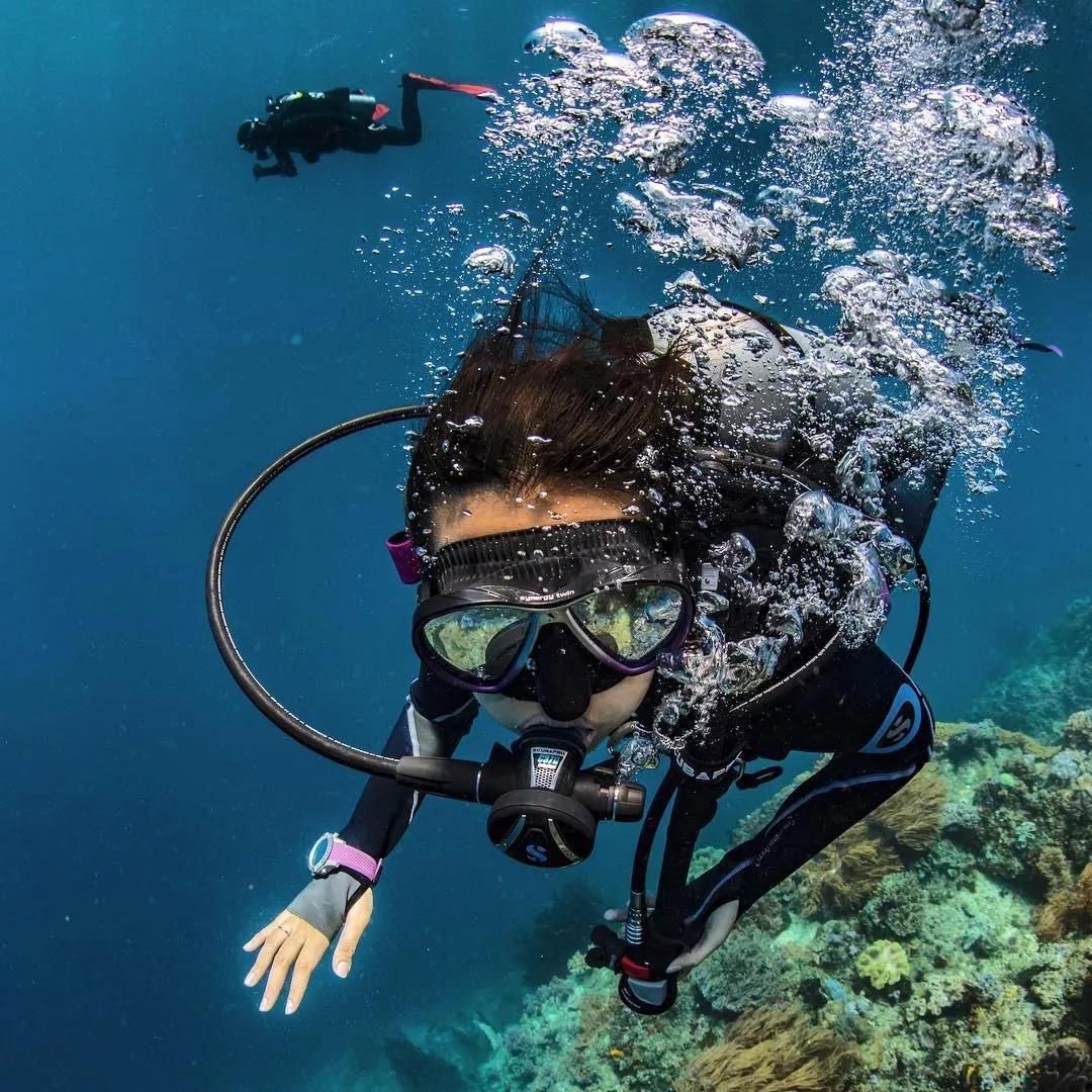scubatrek潜水科普丨鲨鱼居然不吃人潜水新手误区你中了几条