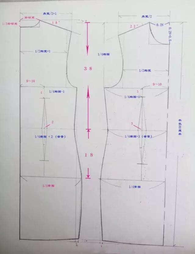 乾貨|背心裙,包臀裙,鉛筆褲,女士短褲,哈倫褲裁剪圖