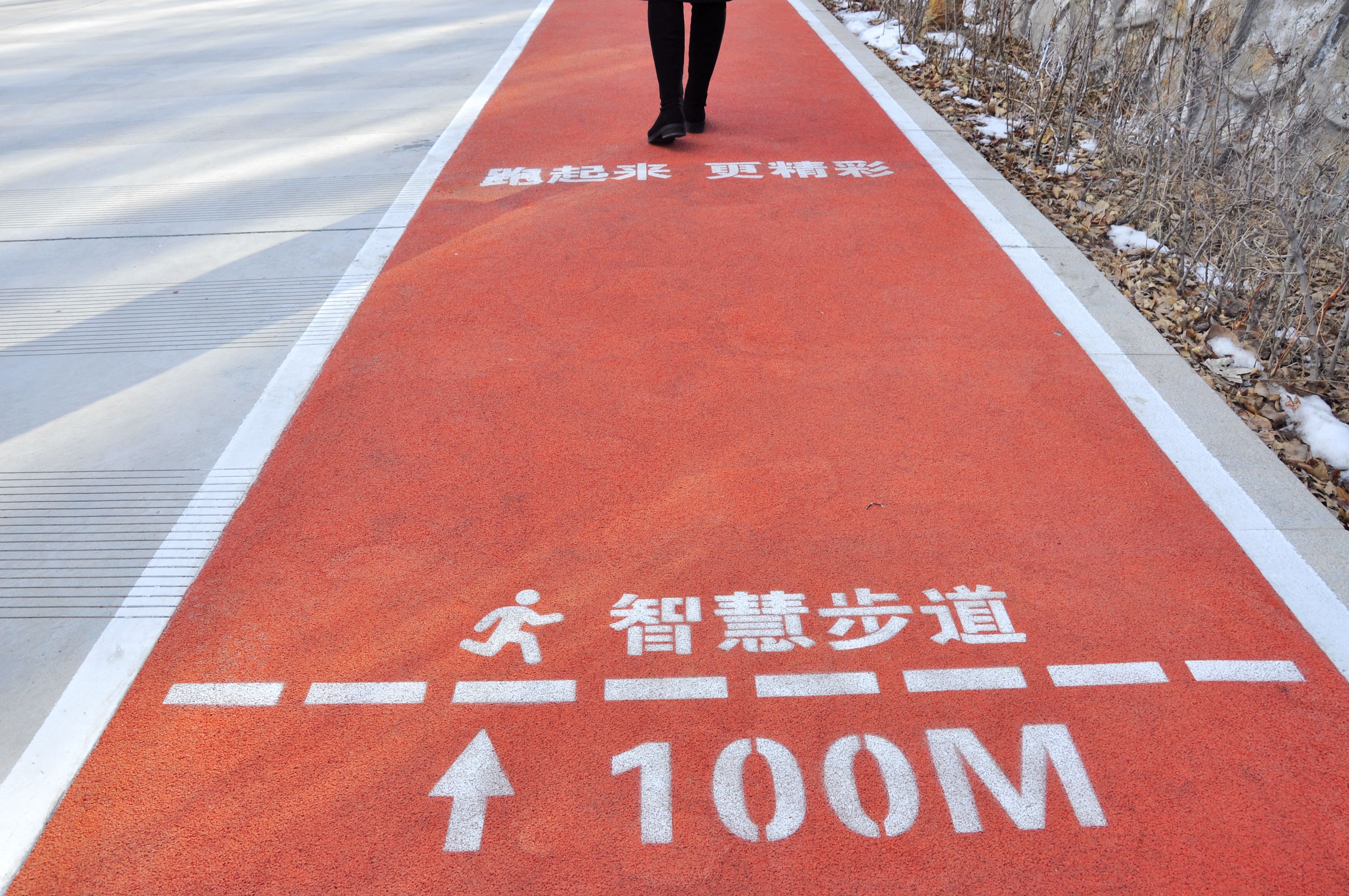 青海省首条ai智能健身步道亮相西宁市体育公园