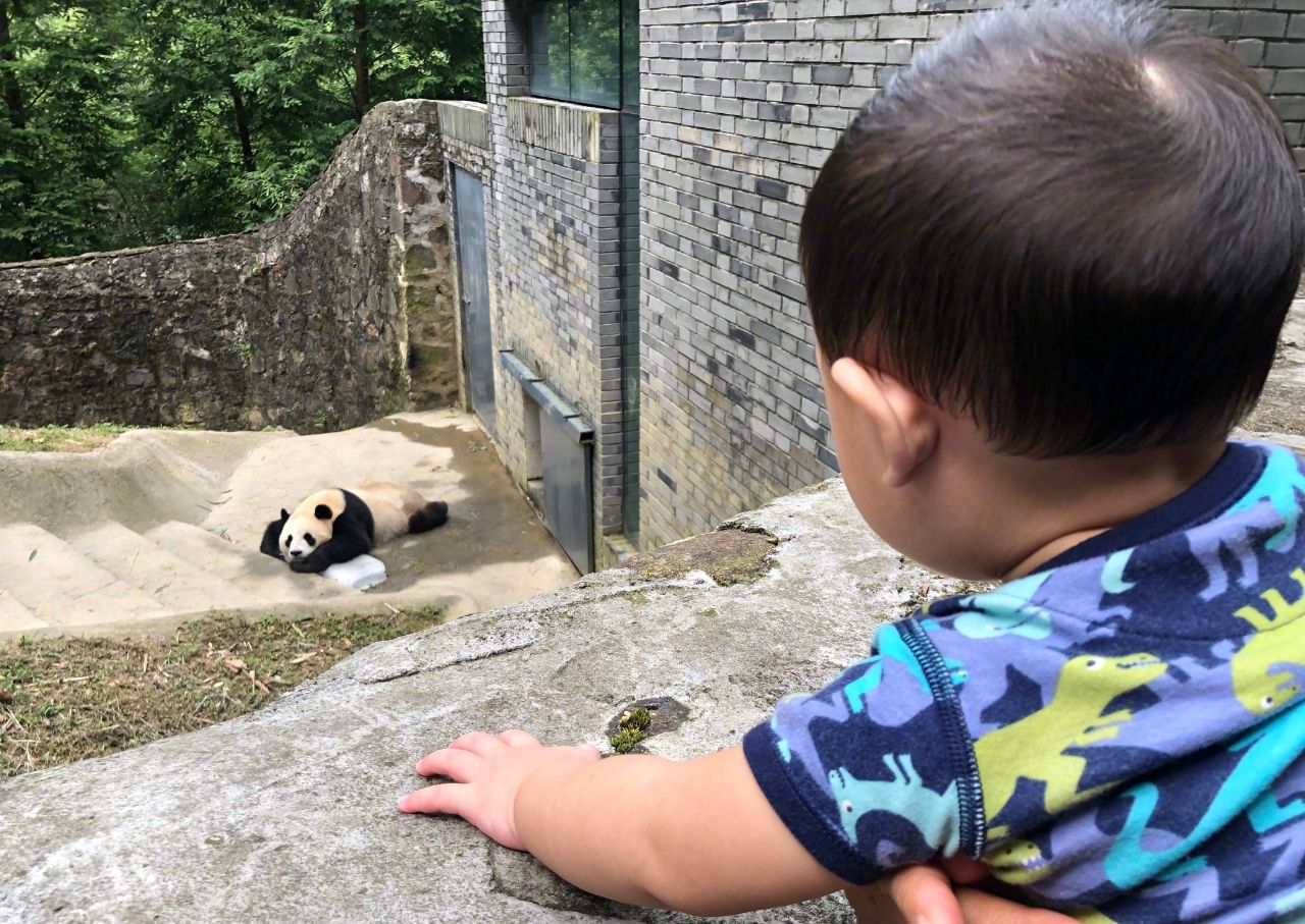 原创张歆艺晒10个月儿子近照四坨处处比同龄人优秀不愧是母乳喂养