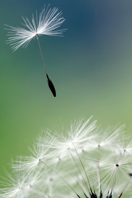 hpv也不能影响我的幸福生活