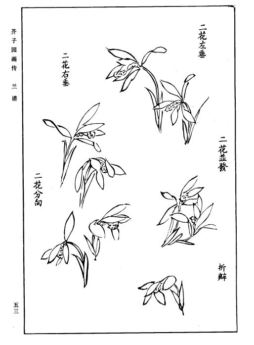 免费领《芥子园画谱技法视频教程山水,花鸟,人物,92集全教程》