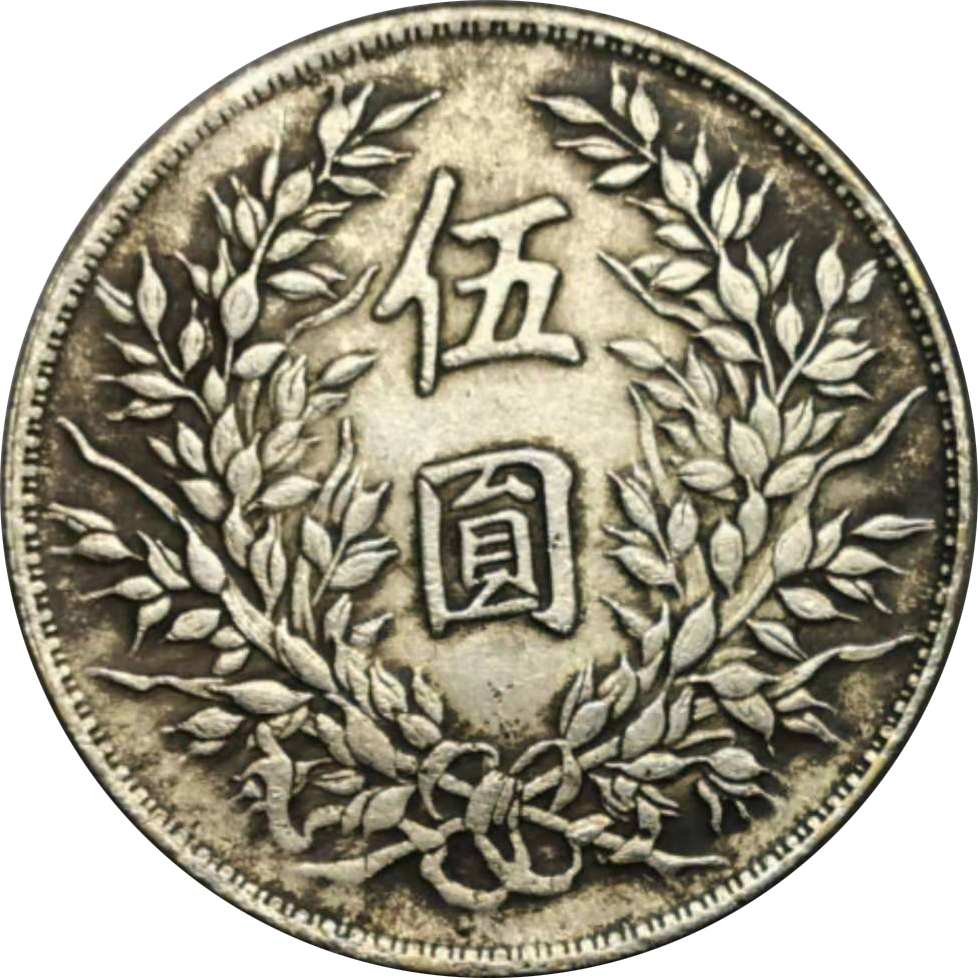 原创精品推荐袁大头五圆样币