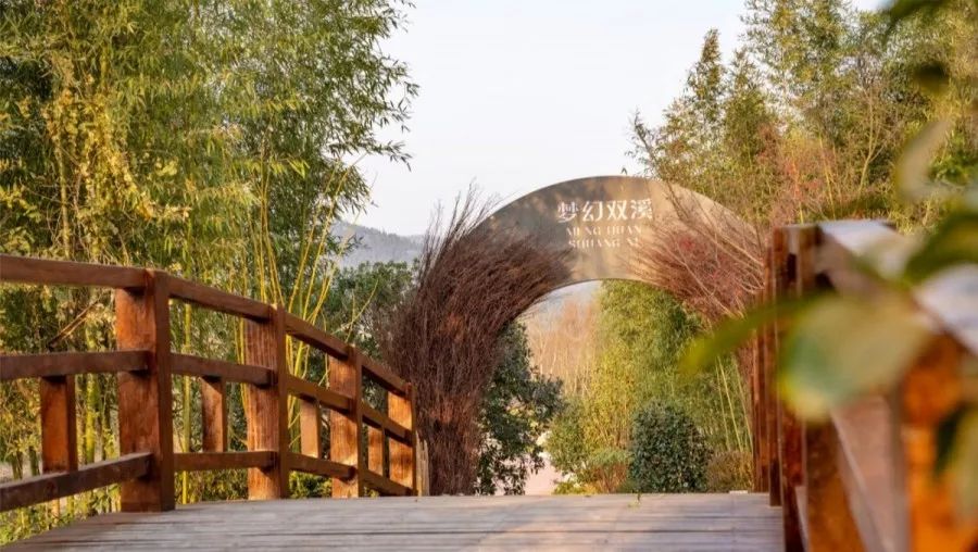 这片"原始森林"叫"梦幻双溪",除了精心打造的灯光夜景,这片曾经的滩涂