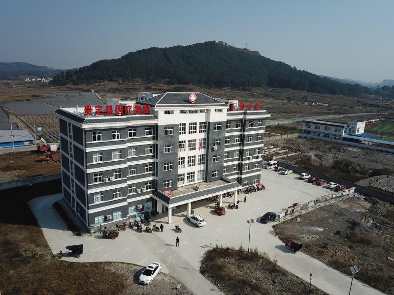 天时间里,累计带领贵定县人民医院医疗团队实施了近60例颅脑微创手术