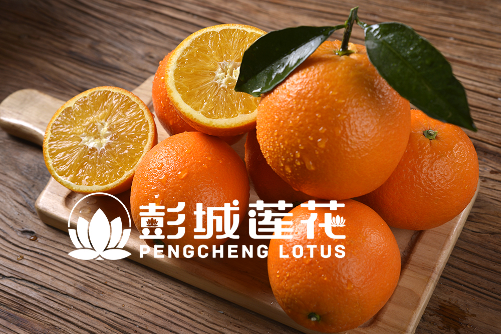 "莲花橙"陪你过快乐圣诞节