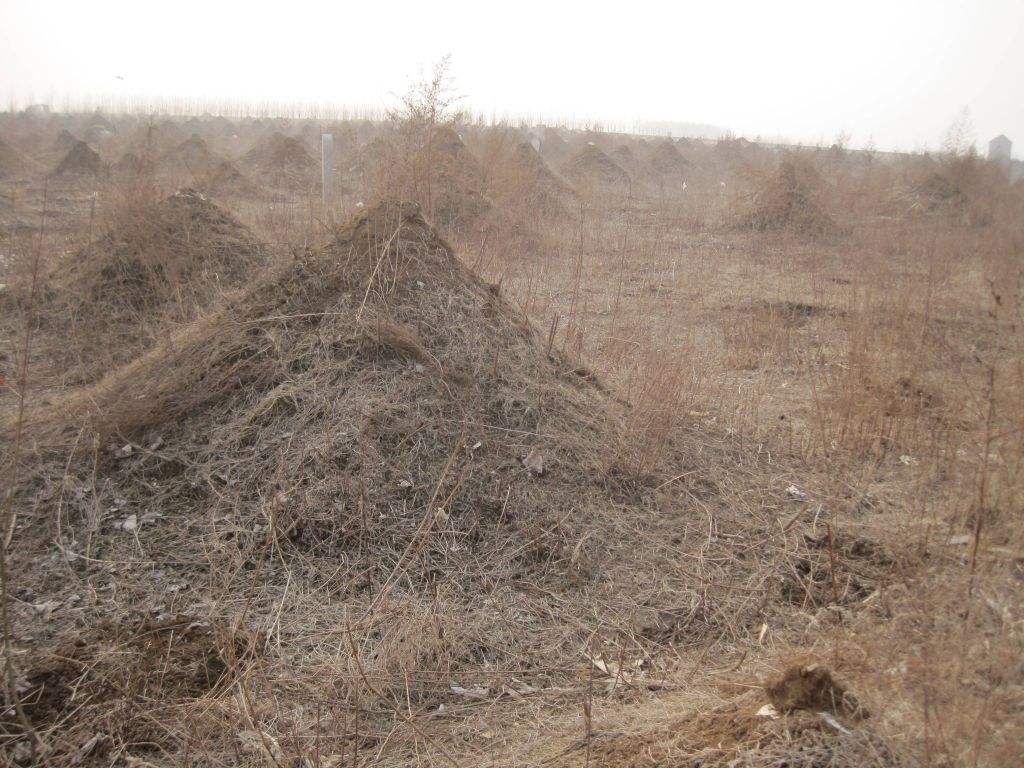 坟,土之高者,古代平民百姓的长眠之地,其实就是堆起一个小坟包.