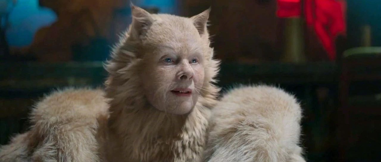 《猫》影评:一场能毁灭猫咪形象的灾难