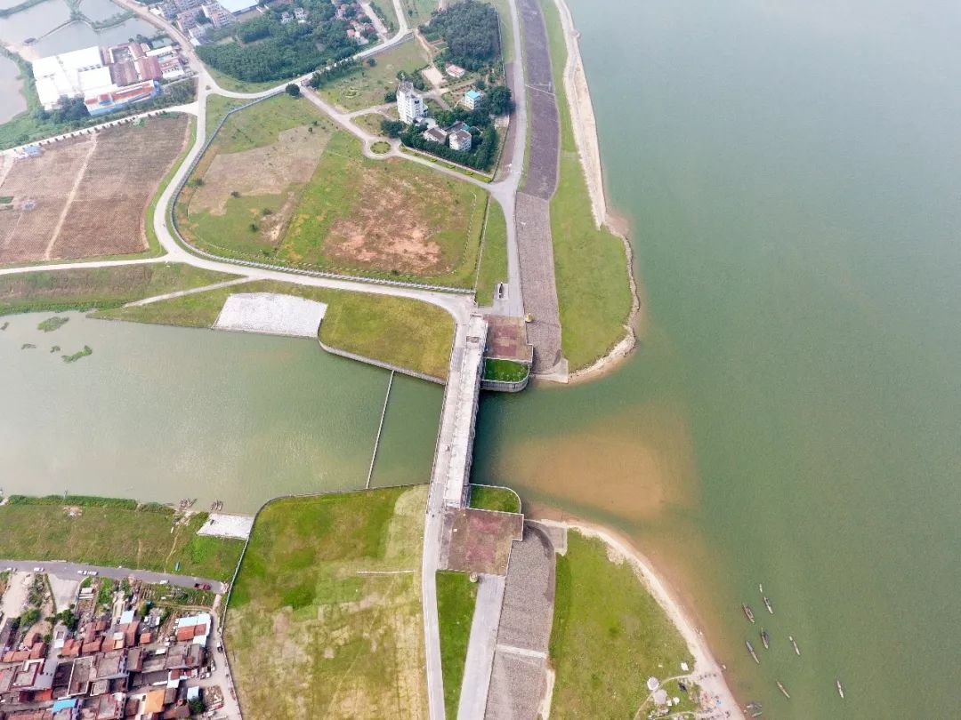 这次水灾浩劫后,三水开始筹建,提升区内的治水防洪工程,  芦苞水闸