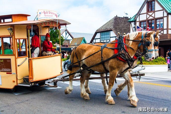 体验公共马车之旅著名的纽伦堡姜饼已经有600多年的历史.