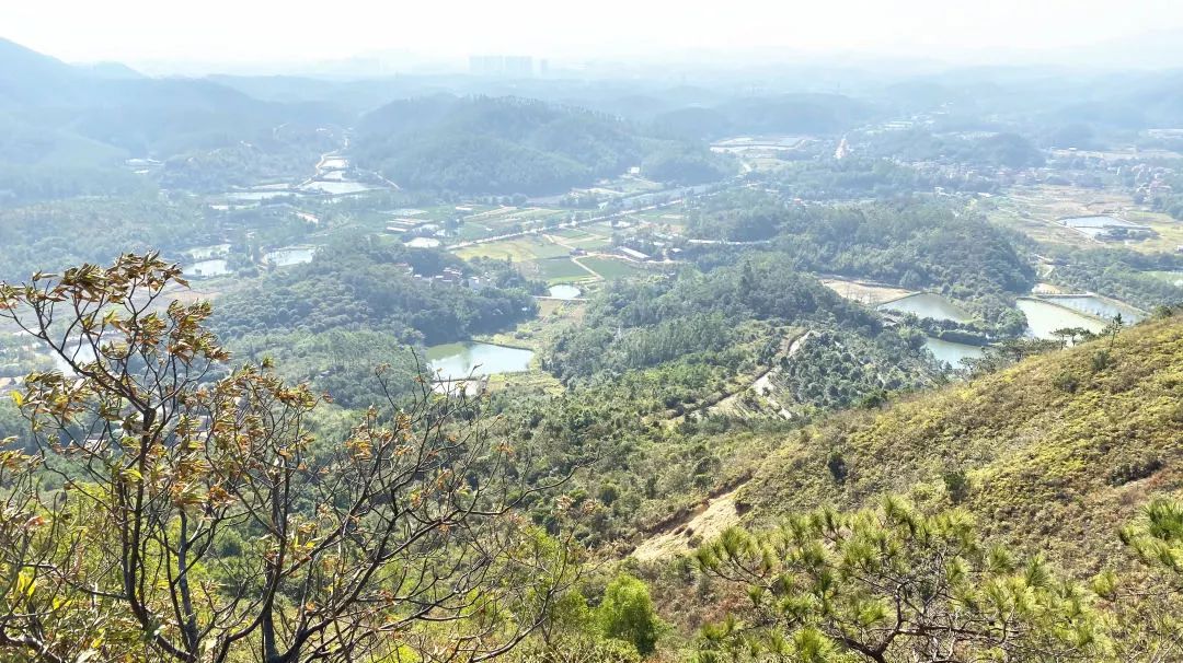 【登山腐敗】登鶴城第一峰崑崙山 品七甕井鴨嘴魚_鶴山