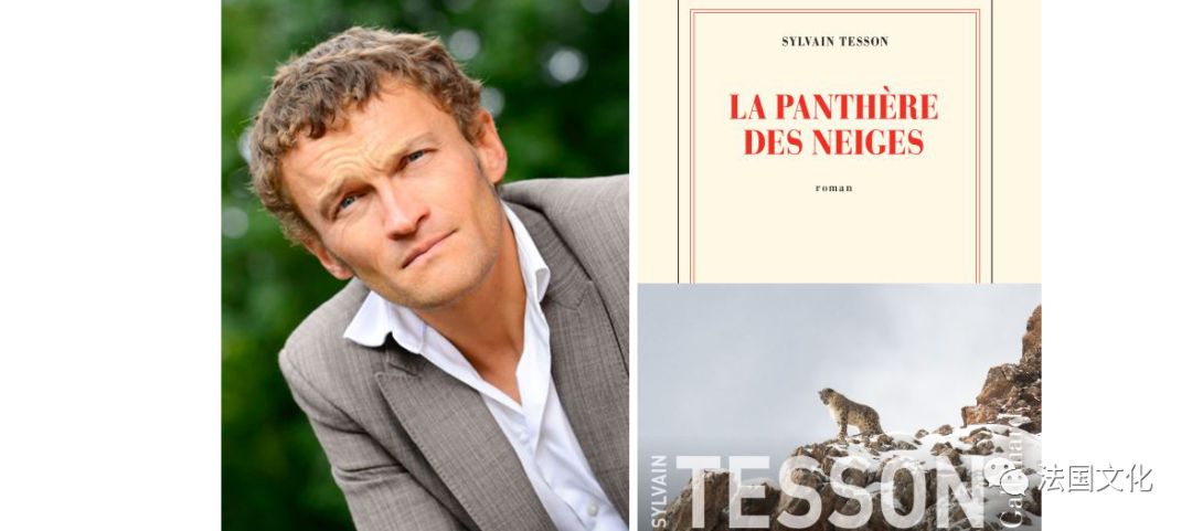 走近法国2019年度各大法国文学奖