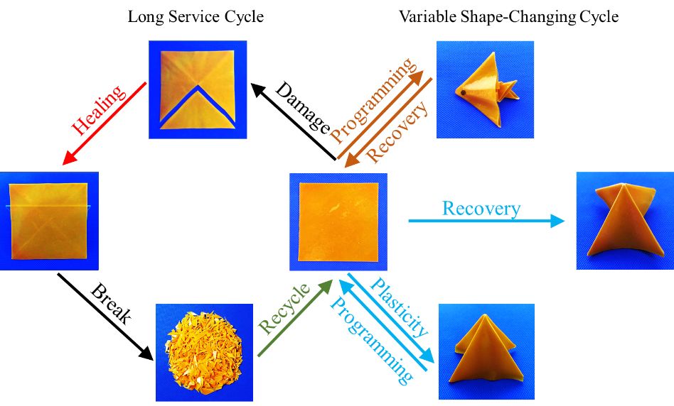 mme:环氧树脂对热塑性聚氨酯自修复与形状记忆行为影响规律探究