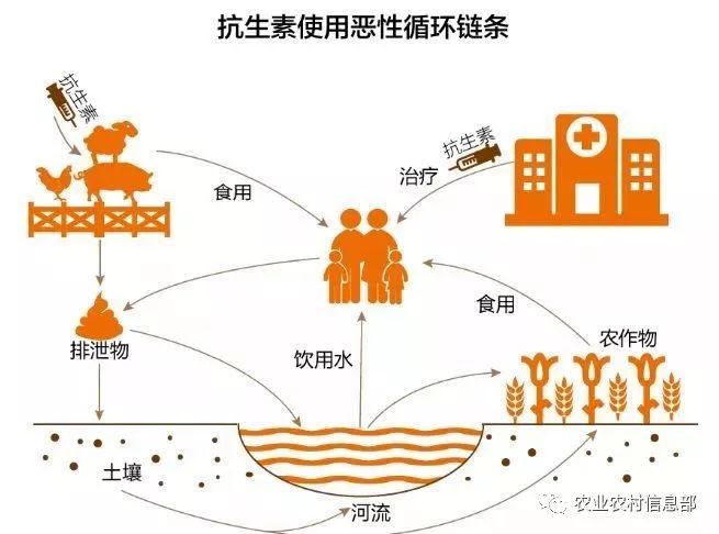2020年全部停产停用药物饲料添加剂,有机肥生产将戴上"安全帽"