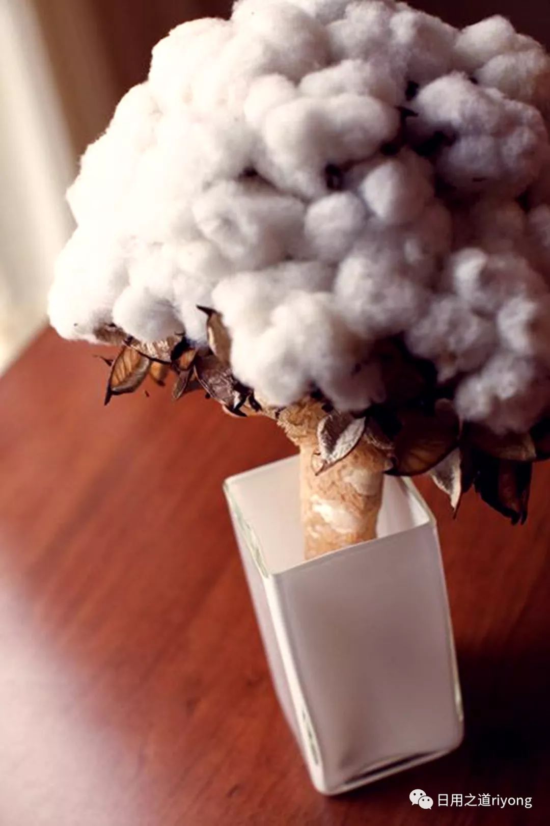 日用之器—棉花