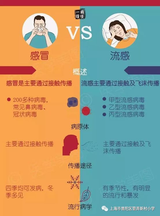 流感病毒主要通过飞沫和间接接触传播,这两种传播途径最主要的侵入点