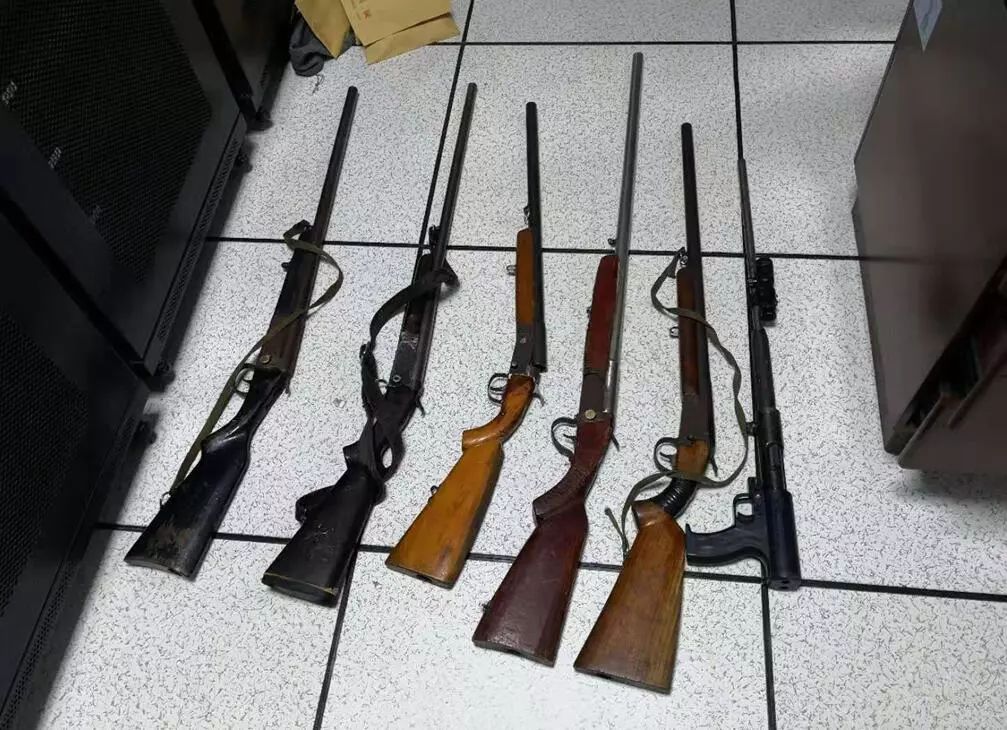 利川一团伙携带8只枪5只狗非法狩猎,栽了!_猎枪