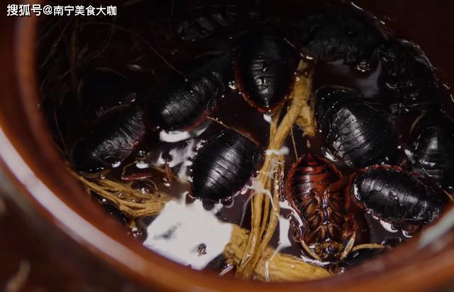 外国小伙来中国挑战老广汤老板刚端上桌小伙就腿软了