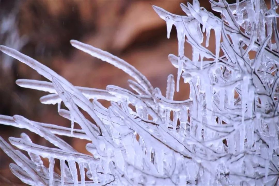 冬日罕见美景!东太行景区现冰树挂景观......_云端