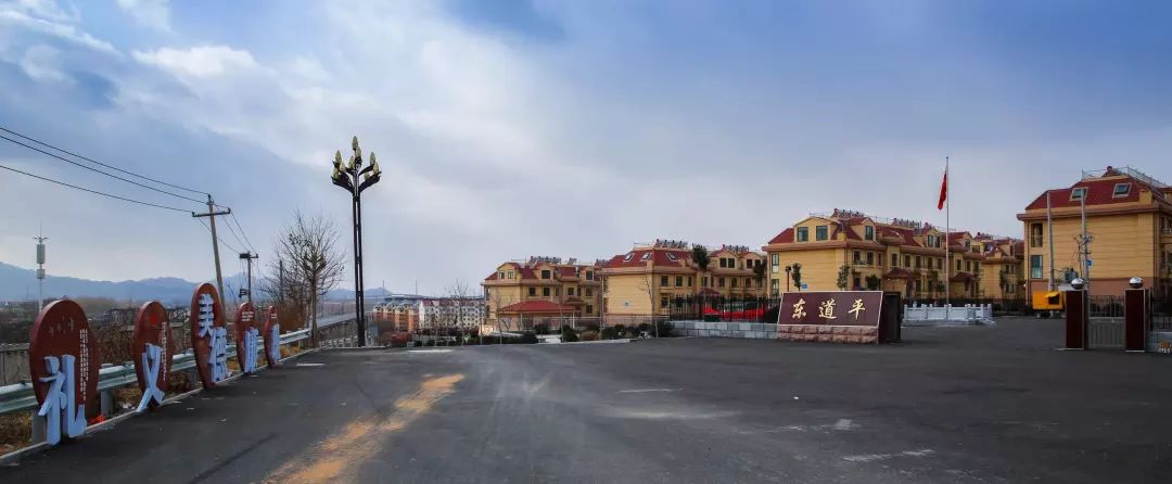 喜讯回里镇东道平村入选山东省森林村居