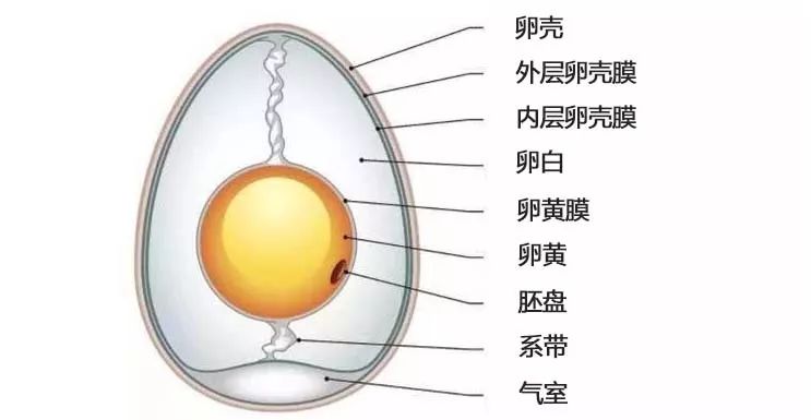 这种判断方法应该是比较靠谱的