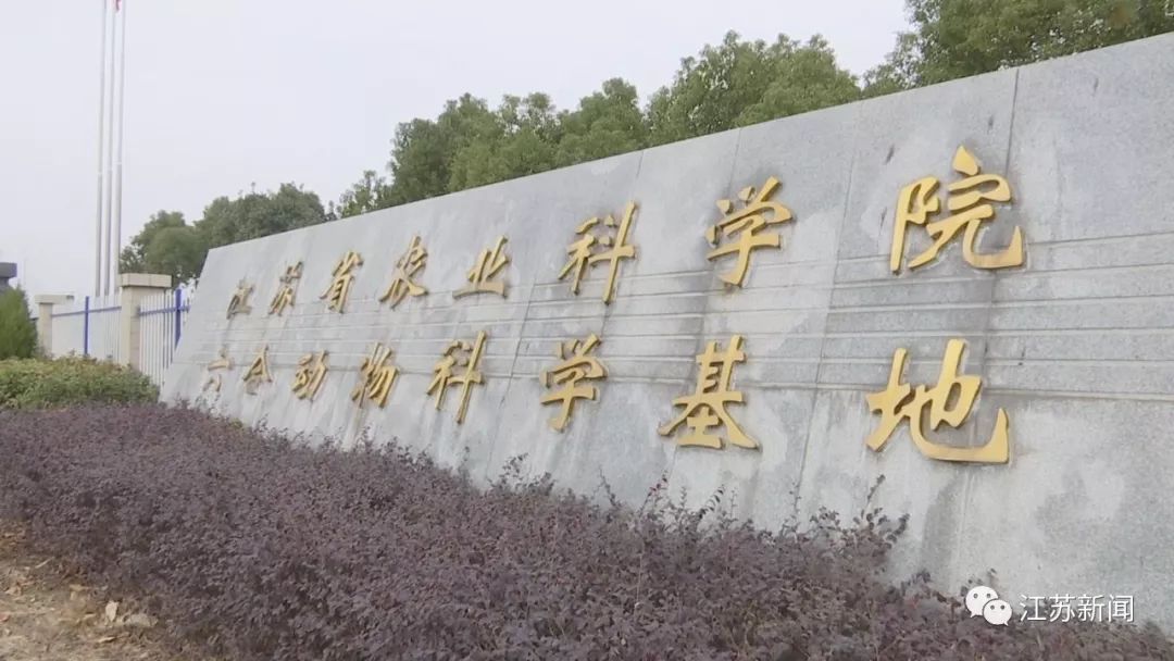 江苏省农科院 来自搜狐网