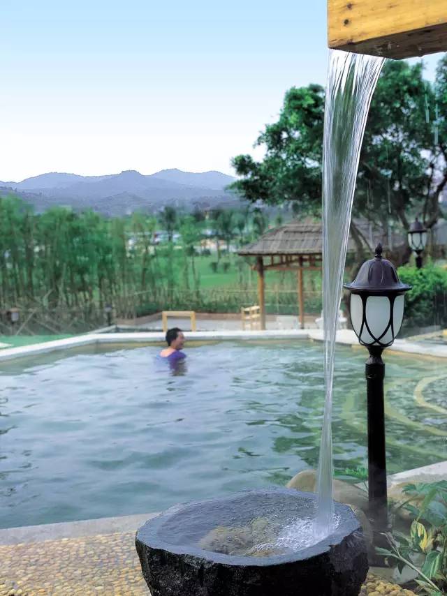 重磅曾繁盛一时的阳江温泉度假村有限公司正式破产