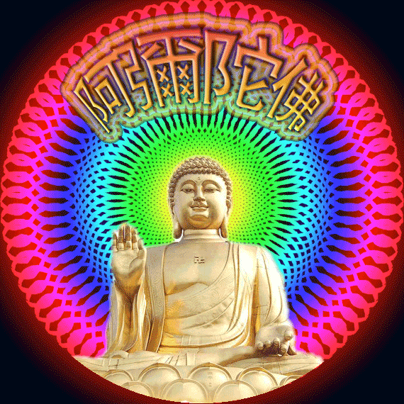 570_570gif 动态图 动图
