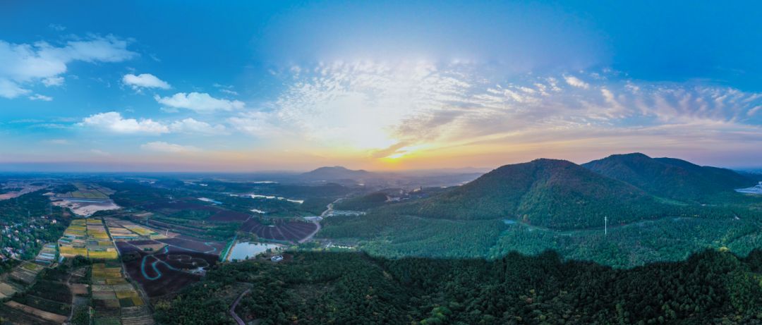 这一次上兴镇被评为2019年度十佳生态休闲宜居小镇它究竟有何魅力