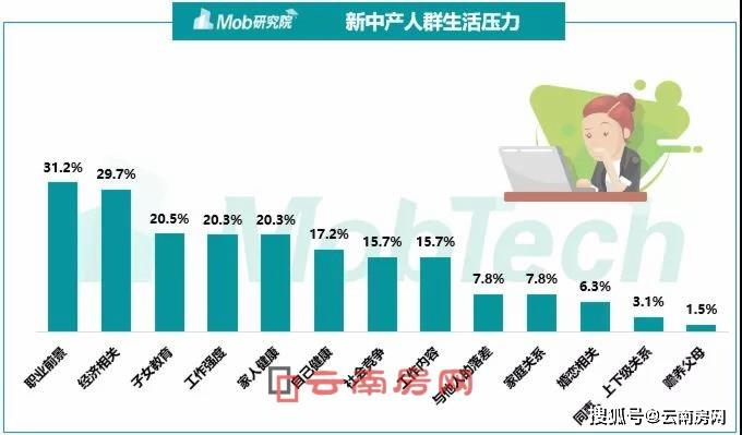 看起来很美好,但在现实中,新中产阶级的状况却是"压力山大".