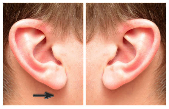 耳朵怎么画如何画好耳朵耳朵绘画教程分享