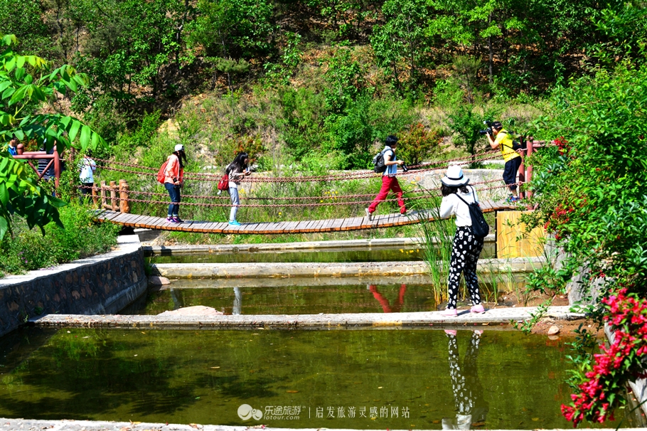 原創山葉口走進中國遠古海底世界奇觀