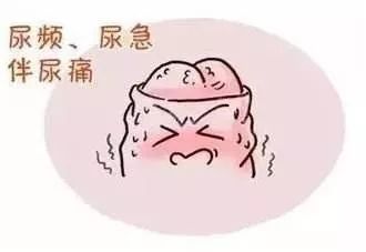 放寒假啦男孩纸们的丁丁历险记约吗