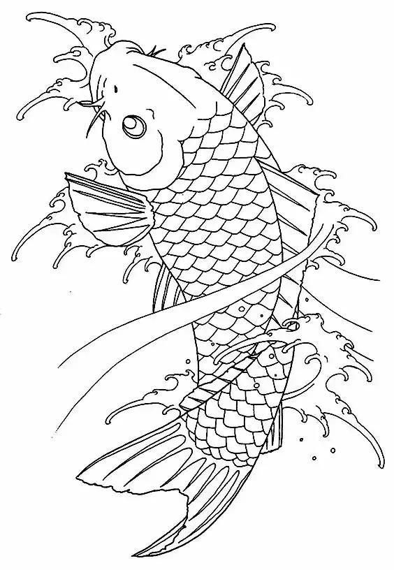 干货难得一见锦鲤高清白描线稿全部画一遍学会画锦鲤很简单