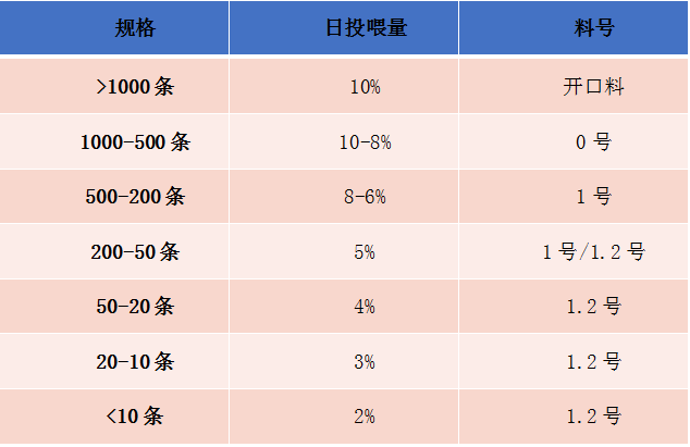 泥鳅高密度养殖模式注意这些关键点,亩利润超19000元!