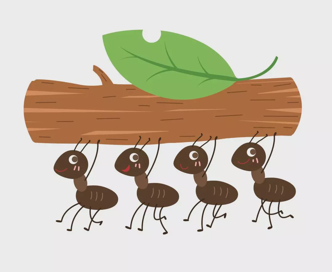 边玩边学,练出好思维 | 蚂蚁与地球