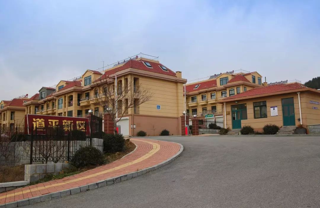 喜讯回里镇东道平村入选山东省森林村居