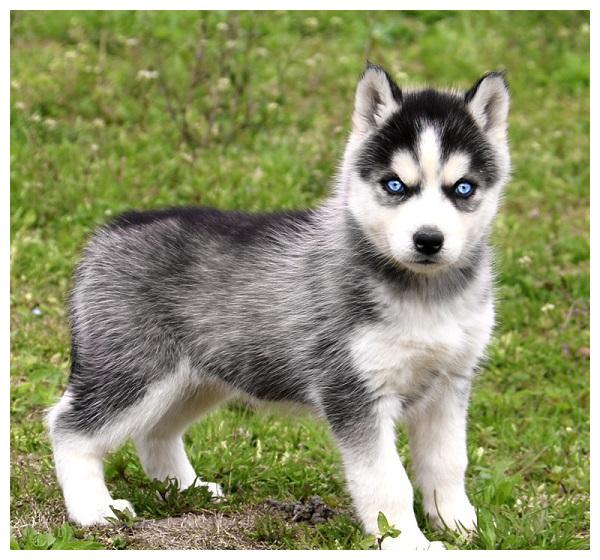 传奇世界私服|传世私服-堵蛹痹