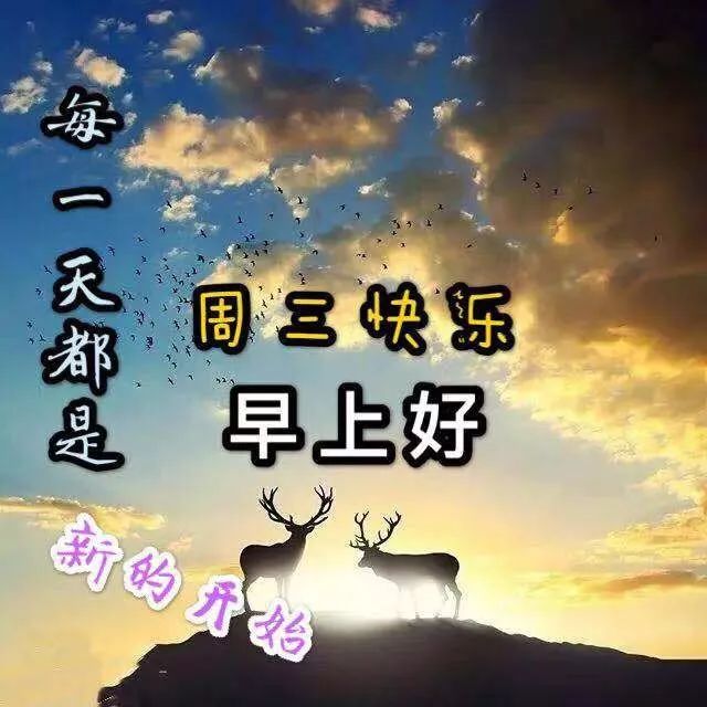 早上好圖片祝福語全集2020新出的微信早晨問候表情