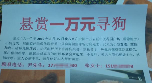 "我们感情深厚"女孩贴出万元悬赏告示 为找一条狗