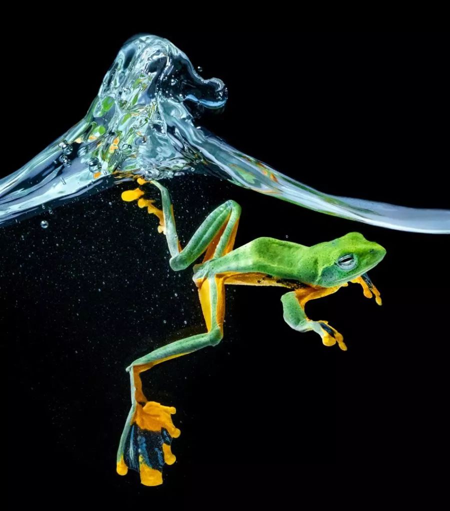 国际影赛获奖作品赏析(第十一期)_摄影