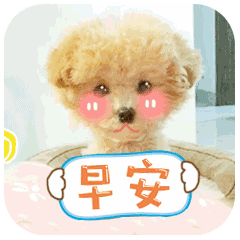 最漂亮的早上好图片带文字2019最新清晨早安问候早上好动态图片
