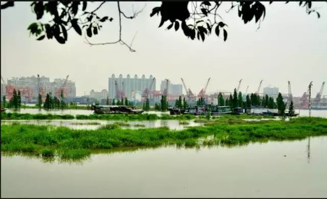 广州也有很多风景怡人的小岛_沙岛